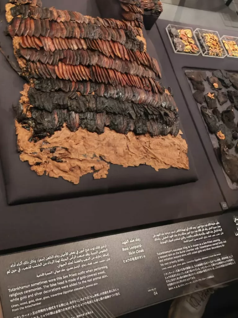 Le secret du cuir royal ! 10 - Le Progrès Egyptien Le secret du cuir royal ! 9 - Le Progrès Egyptien