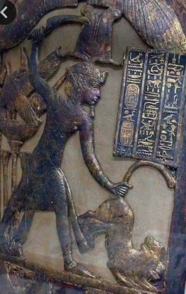 Le secret du cuir royal ! 14 - Le Progrès Egyptien Le secret du cuir royal ! 13 - Le Progrès Egyptien