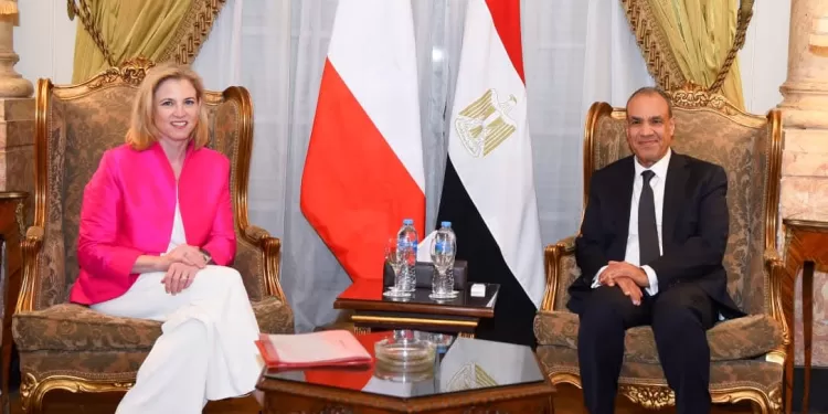 Abdel Aati rencontre son homologue autrichienne 1 - Le Progrès Egyptien