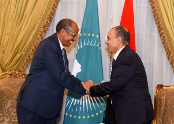 Le ministre des AE rencontre le président de la Commission de l’UA