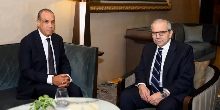 L’Égypte réaffirme son soutien à la souveraineté et à la stabilité du Liban 1 - Le Progrès Egyptien