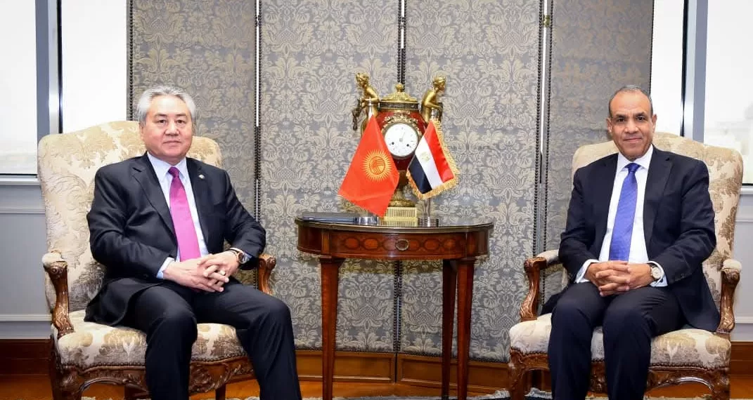AE : Le Caire soutient les efforts de stabilisation régionale 1 - Le Progrès Egyptien