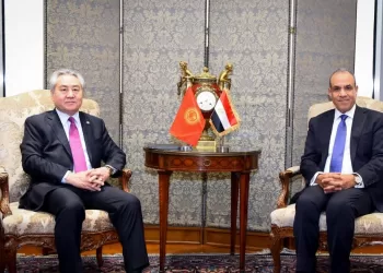 AE : Le Caire soutient les efforts de stabilisation régionale 3 - Le Progrès Egyptien AE : Le Caire soutient les efforts de stabilisation régionale