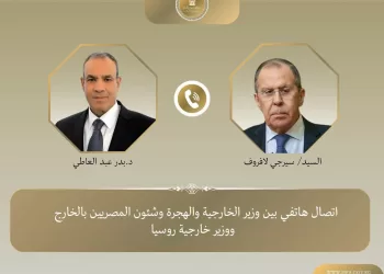 Le Caire et Moscou intensifient leurs consultations 3 - Le Progrès Egyptien Le Caire et Moscou intensifient leurs consultations