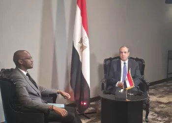 Entretiens du ministre des AE en marge du Sommet du G20 en Afrique du Sud 3 - Le Progrès Egyptien Entretiens du ministre des AE en marge du Sommet du G20 en Afrique du Sud