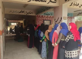 La femme égyptienne : une force invincible dans le processus électoral