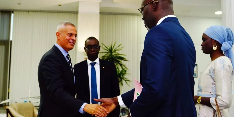 Vers un vol direct Le Caire–Dakar : discussions entre EgyptAir et l’Ambassade du Sénégal 1 - Le Progrès Egyptien