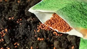 Pour améliorer votre français… 6 - Le Progrès Egyptien Pour améliorer votre français… 5 - Le Progrès Egyptien