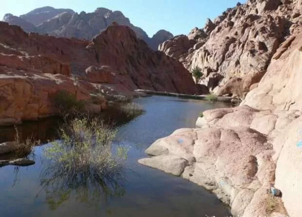 Bibliotheca Alexandrina- musée vert et Oasis : L'Egypte réinvente le tourisme durable 10 - Le Progrès Egyptien Bibliotheca Alexandrina- musée vert et Oasis : L'Egypte réinvente le tourisme durable 9 - Le Progrès Egyptien