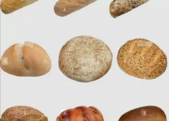 Qu'est ce qui arrive à votre organisme si vous mangez du pain à chaque repas? 3 - Le Progrès Egyptien Qu’est ce qui arrive à votre organisme si vous mangez du pain à chaque repas?