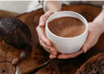 La consommation du cacao et le bon fonctionnement des vaisseaux sanguins 3 - Le Progrès Egyptien La consommation du cacao et le bon fonctionnement des vaisseaux sanguins