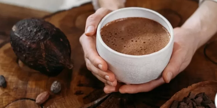 La consommation du cacao et le bon fonctionnement des vaisseaux sanguins 2 - Le Progrès Egyptien La consommation du cacao et le bon fonctionnement des vaisseaux sanguins 1 - Le Progrès Egyptien