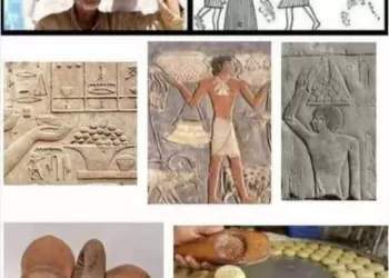 Même des pains vieux de 4000 ans au GME…