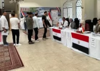 Législatives 2025 : Régularité du vote de la diaspora au second tour