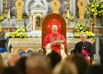 En Turquie, le pape célèbre la foi commune avec les orthodoxes 3 - Le Progrès Egyptien En Turquie, le pape célèbre la foi commune avec les orthodoxes
