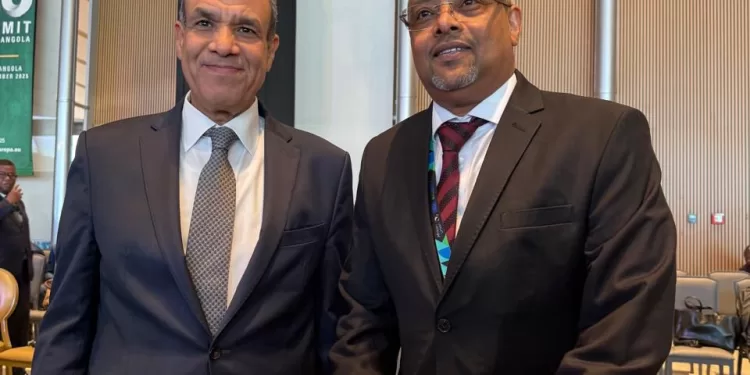 Renforcement des relations économiques et stratégiques entre l’Égypte et Djibouti 2 - Le Progrès Egyptien Renforcement des relations économiques et stratégiques entre l’Égypte et Djibouti 1 - Le Progrès Egyptien