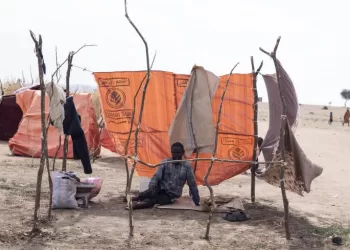 Soudan: le ministre de la Défense affirme que la guerre va continuer 3 - Le Progrès Egyptien Soudan: le ministre de la Défense affirme que la guerre va continuer