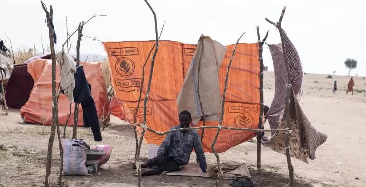 Soudan: le ministre de la Défense affirme que la guerre va continuer 2 - Le Progrès Egyptien Soudan: le ministre de la Défense affirme que la guerre va continuer 1 - Le Progrès Egyptien