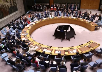 Vote attendu du Conseil de sécurité de l'ONU pour autoriser une force internationale à Gaza 4 - Le Progrès Egyptien Vote attendu du Conseil de sécurité de l’ONU pour autoriser une force internationale à Gaza