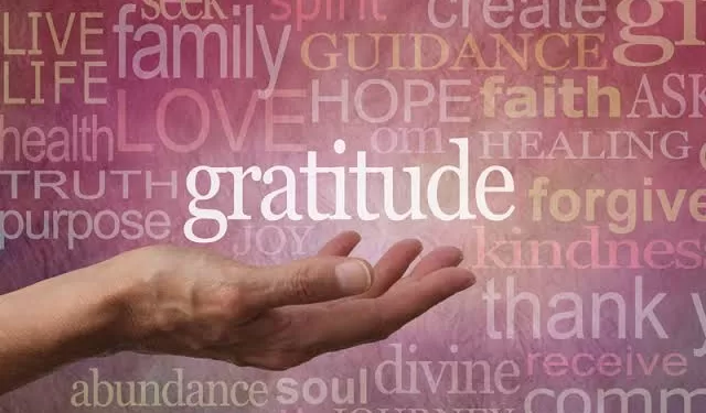 La gratitude: Une lumière au cœur de l’islam 2 - Le Progrès Egyptien La gratitude: Une lumière au cœur de l’islam 1 - Le Progrès Egyptien