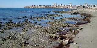 La plus grande mer intérieure du monde rétrécit 3 - Le Progrès Egyptien La plus grande mer intérieure du monde rétrécit