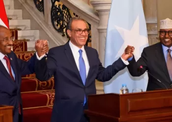 L’Egypte renforce son rôle stratégique dans la Corne de l’Afrique 3 - Le Progrès Egyptien L’Egypte renforce son rôle stratégique dans la Corne de l’Afrique