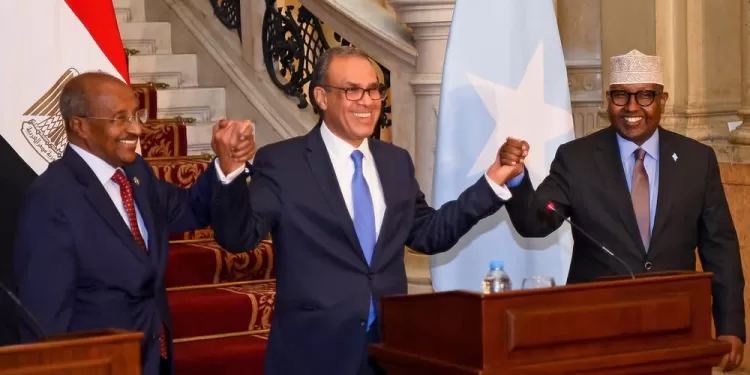 L’Egypte renforce son rôle stratégique dans la Corne de l’Afrique 2 - Le Progrès Egyptien L’Egypte renforce son rôle stratégique dans la Corne de l’Afrique 1 - Le Progrès Egyptien