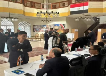 Législatives 2025 : Début du vote de la diaspora 15 - Le Progrès Egyptien Législatives 2025 : Début du vote de la diaspora