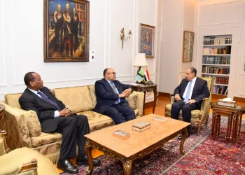 Egypte-Tanzanie : Examen de la promotion des relations 3 - Le Progrès Egyptien Egypte-Tanzanie : Examen de la promotion des relations