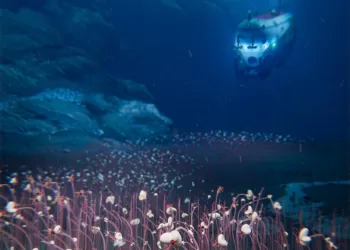 Découverte stupéfiante à 10 km sous l’océan 4 - Le Progrès Egyptien Découverte stupéfiante à 10 km sous l’océan