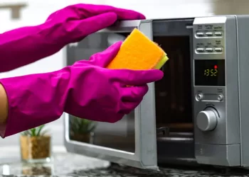 Comment nettoyer votre four à micro-ondes ? 7 - Le Progrès Egyptien Comment nettoyer votre four à micro-ondes ?