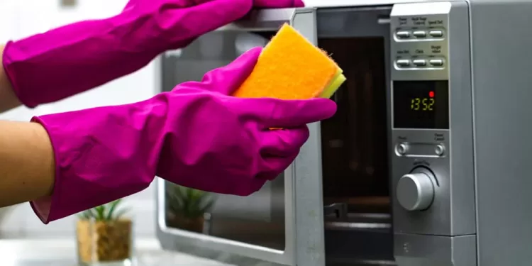 Comment nettoyer votre four à micro-ondes ? 1 - Le Progrès Egyptien