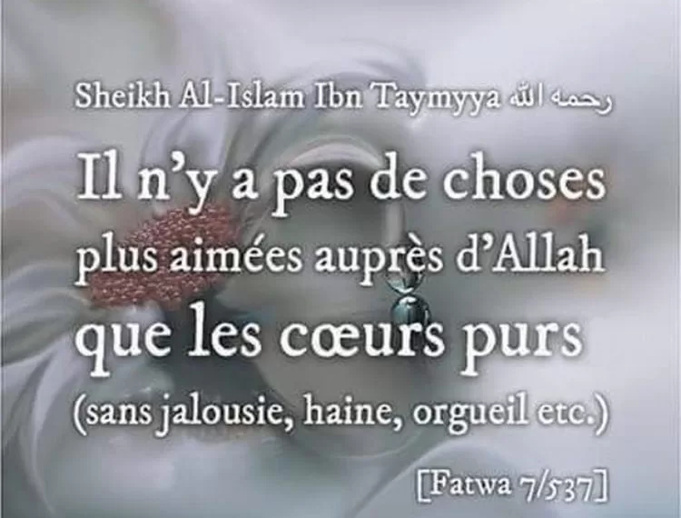 Le cœur dans le Coran: Organe spirituel et lieu de la foi 1 - Le Progrès Egyptien