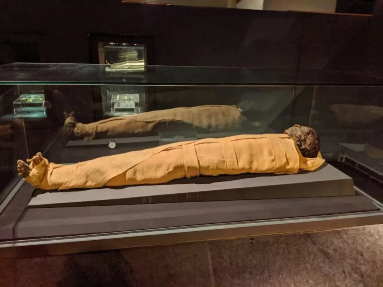 Le Musée de Louxor célèbre son jubilé d’or : 50 pièces en 50 jours » 6 - Le Progrès Egyptien Le Musée de Louxor célèbre son jubilé d’or : 50 pièces en 50 jours » 5 - Le Progrès Egyptien