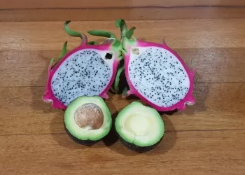 L’agriculture défie le changement climatique