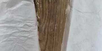 L’Égypte récupère deux pièces archéologiques de grande valeur restituées par la Belgique