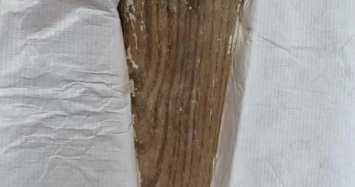 L’Égypte récupère deux pièces archéologiques de grande valeur restituées par la Belgique 1 - Le Progrès Egyptien