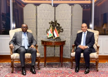 Le ministre des Affaires étrangères rencontre son homologue burundais 4 - Le Progrès Egyptien Le ministre des Affaires étrangères rencontre son homologue burundais