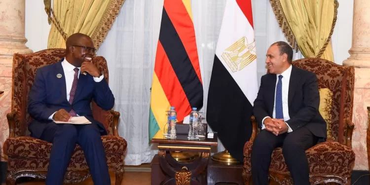 Le ministre des Affaires étrangères reçoit son homologue zimbabwéen pour renforcer la coopération bilatérale 1 - Le Progrès Egyptien