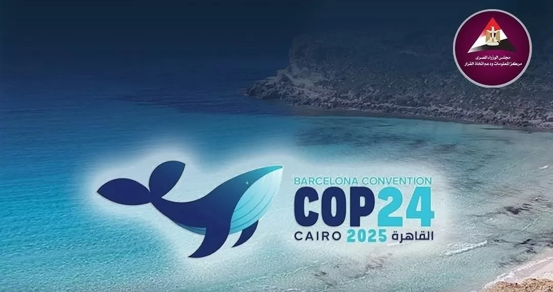 L'Égypte présidente actuelle de la COP24 1 - Le Progrès Egyptien