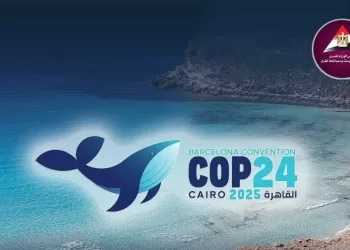 L’Égypte présidente actuelle de la COP24