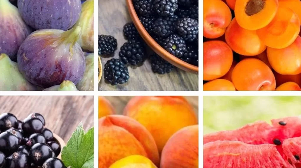 Le Progrès Egyptien 54 - Le Progrès Egyptien