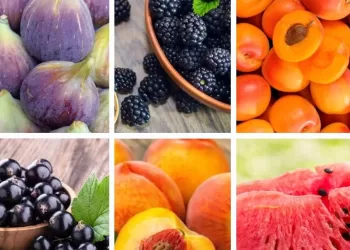 Des fruits à ne jamais consommer en hiver