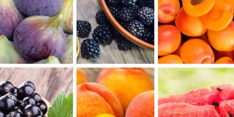 Des fruits à ne jamais consommer en hiver 2 - Le Progrès Egyptien Des fruits à ne jamais consommer en hiver 1 - Le Progrès Egyptien