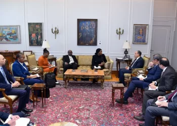 Le ministre des Affaires étrangères loue les relations étroites avec l’Afrique du Sud