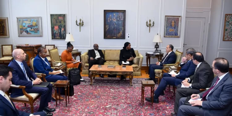 Le ministre des Affaires étrangères loue les relations étroites avec l'Afrique du Sud 1 - Le Progrès Egyptien