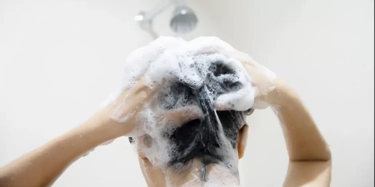 Le « sandwich shampoo » : Cette technique hydratante, virale sur TikTok 1 - Le Progrès Egyptien
