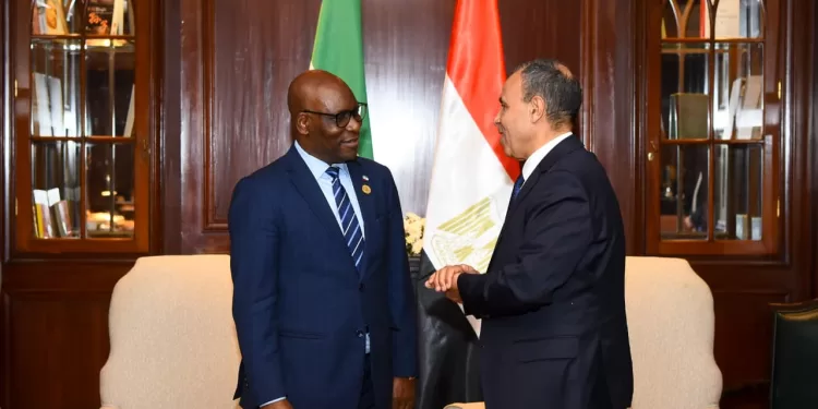 Les ministres égyptien et équato-guinéen des AE examinent le renforcement de la coopération dans maints domaines 1 - Le Progrès Egyptien
