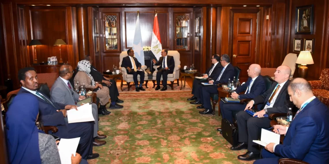 L'Egypte est engagée à soutenir les efforts de stabilisation en Somalie et dans la Corne de l'Afrique 1 - Le Progrès Egyptien