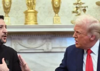 Pourparlers sur l'Ukraine: Trump "extrêmement frustré" par Kiev et Moscou 3 - Le Progrès Egyptien Pourparlers sur l’Ukraine: Trump “extrêmement frustré” par Kiev et Moscou